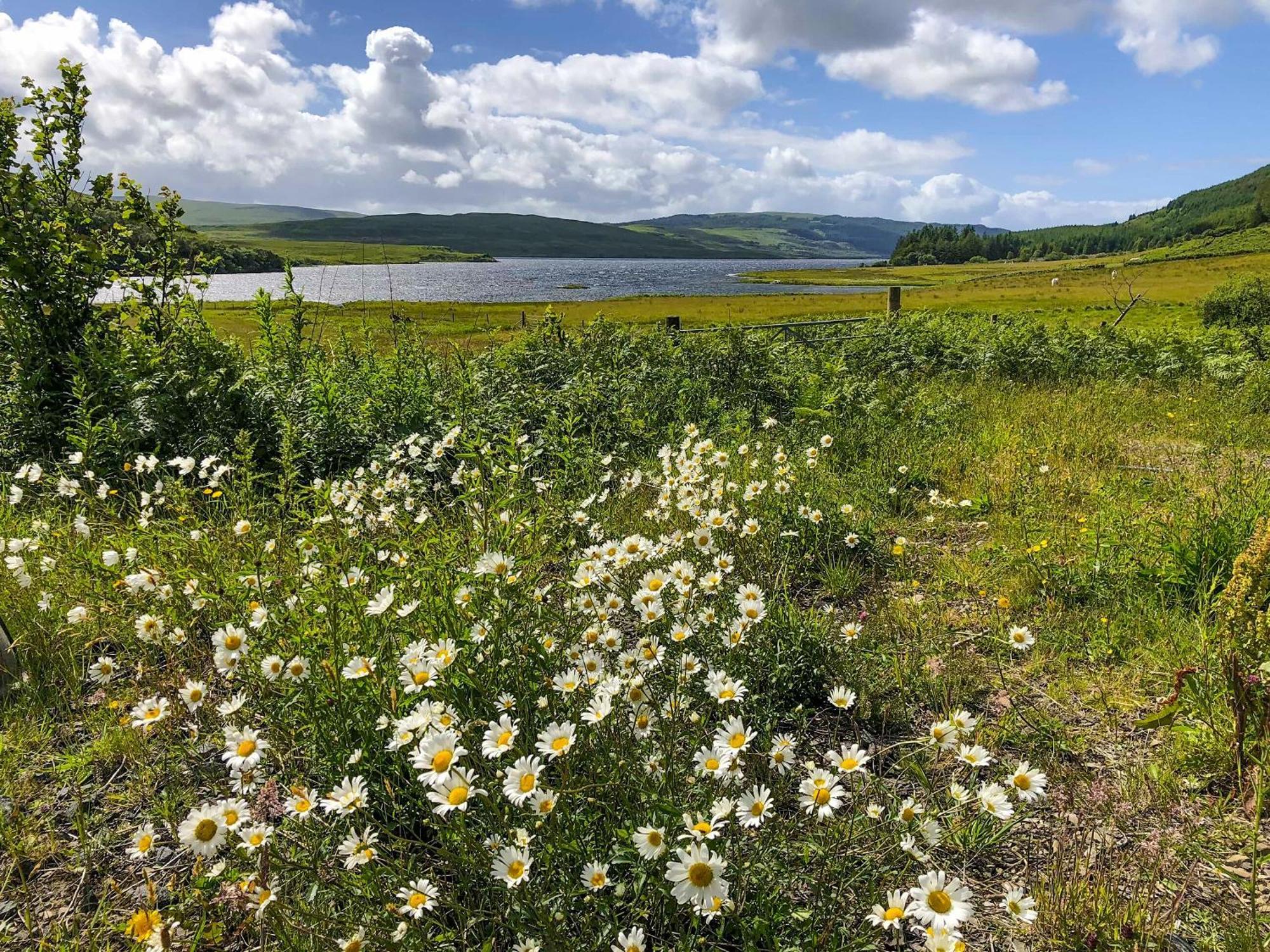 Ardnacross FarmLedmore别墅 外观 照片